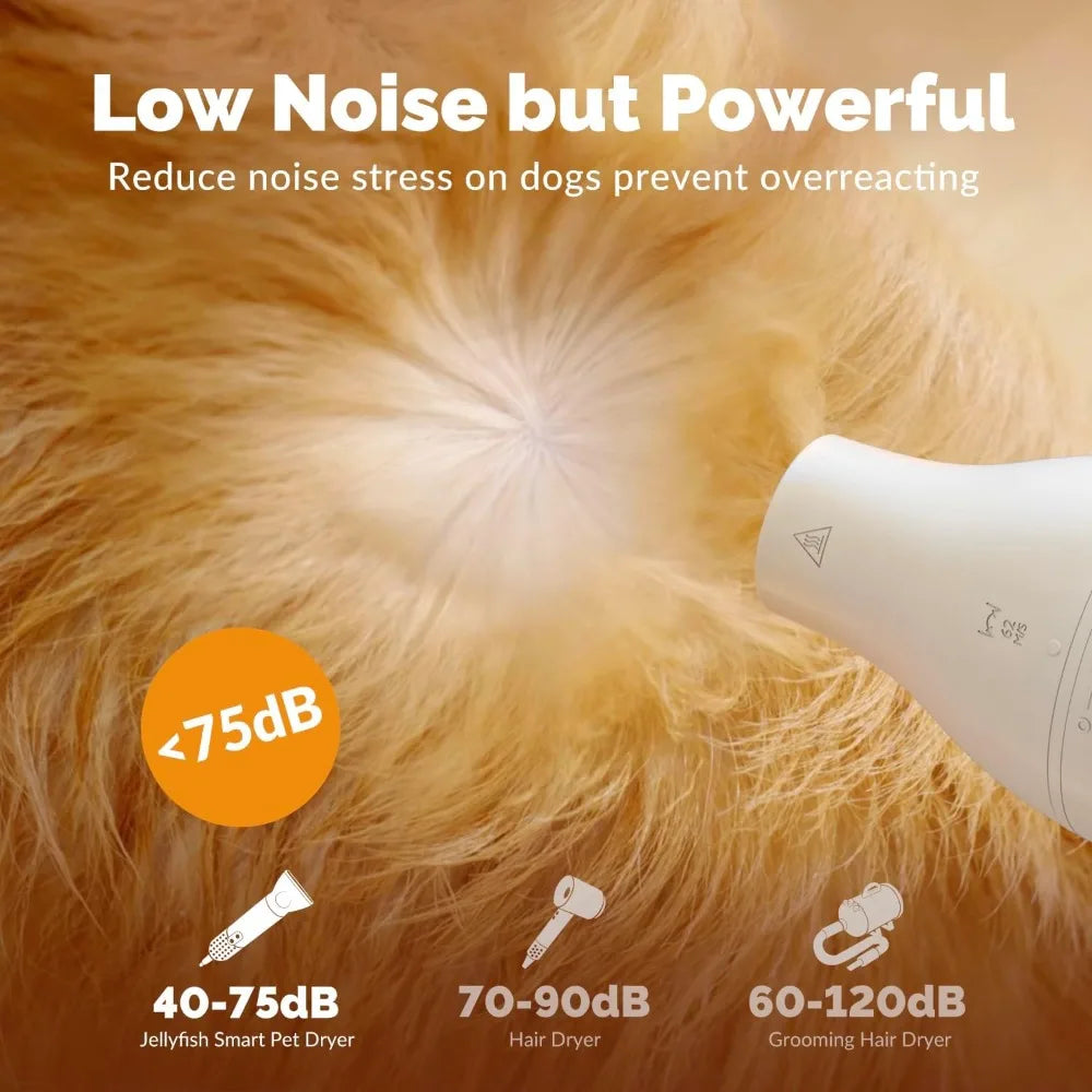 2 in 1 Grooming Kit for Pet-Dog Hair Dryer & Professional Grooming Brush